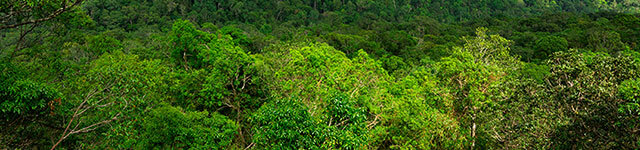 YOGISTAR.COM | Yogamatten, Yoga-Zubehör und Yoga